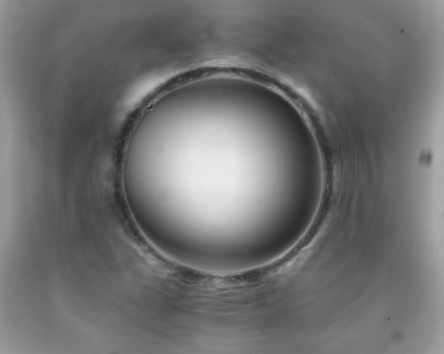 X0000091921311200709121530