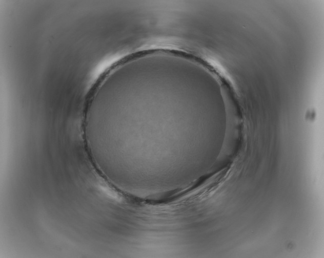 X0000091921312200709121530