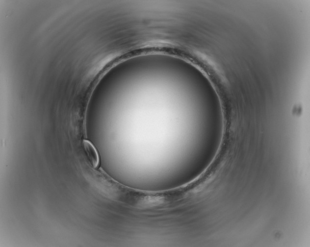 X0000091921313200709121530