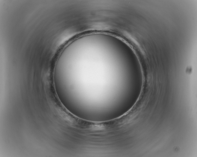 X0000091921315200709121530