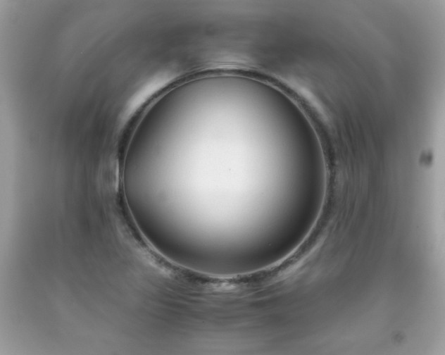 X0000091921317200709121530