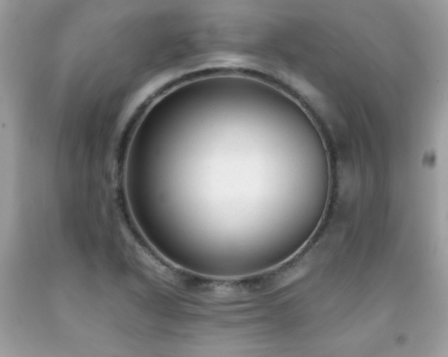 X0000091921318200709121530