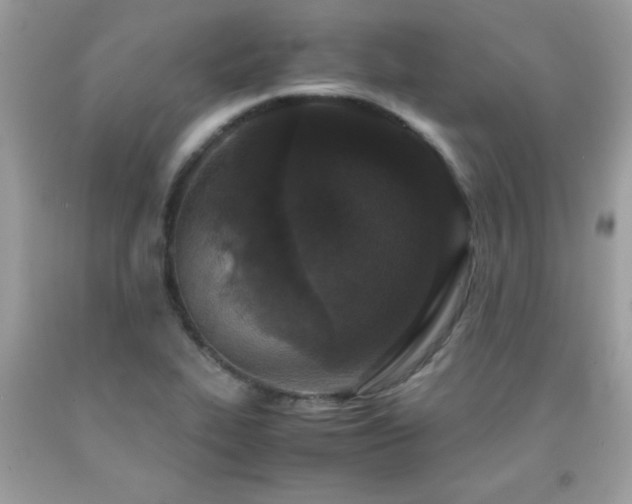 X0000091921319200709121531