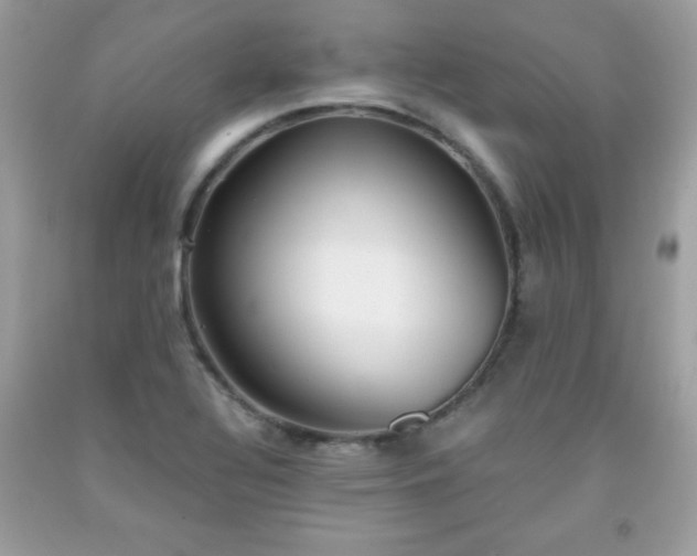 X0000091921320200709121531