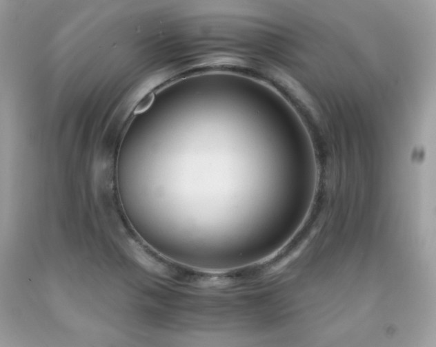 X0000091921321200709121531