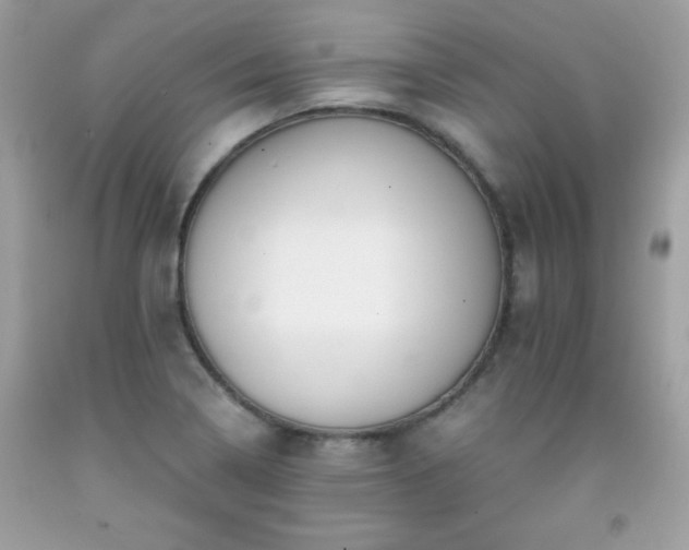 X0000091921322200709121531