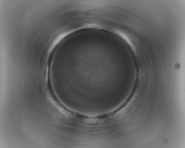 X0000091921323200709121531