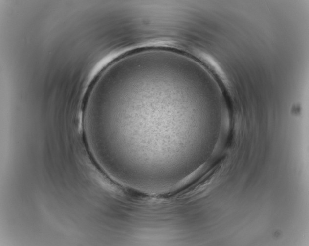 X0000091921324200709121531
