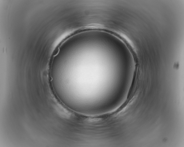 X0000091921325200709121531