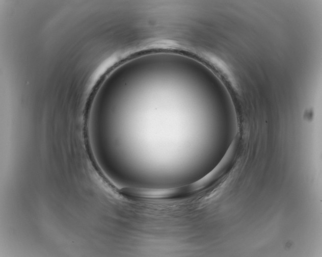 X0000091921326200709121531