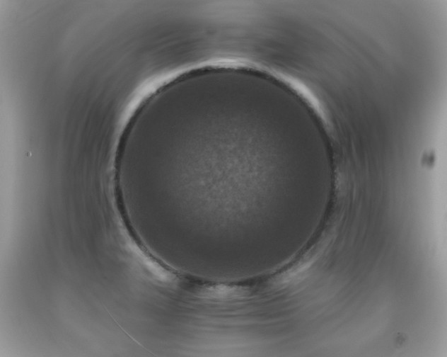 X0000091921327200709121531