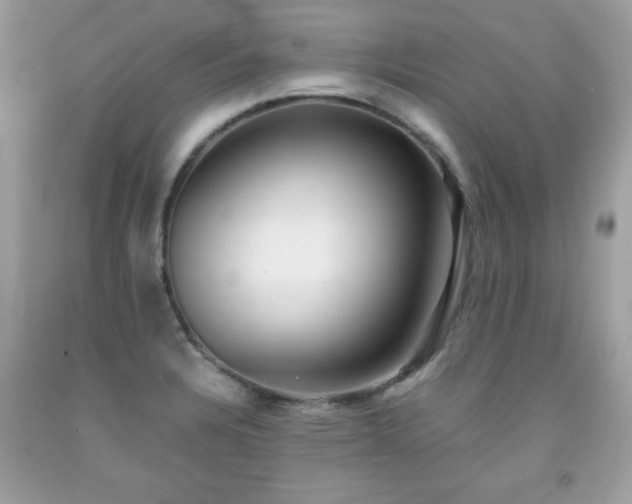 X0000091921328200709121531