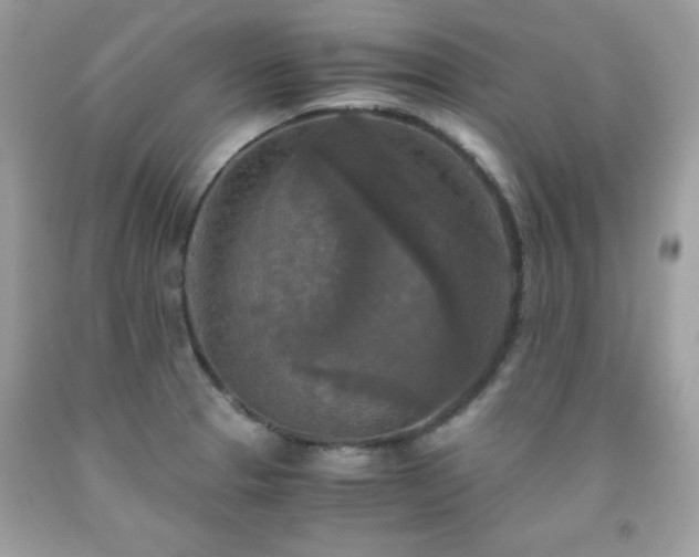 X0000091921329200709121531