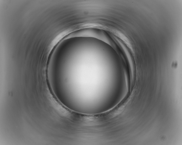 X0000091921330200709121531