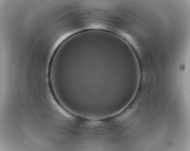 X0000091921331200709121531