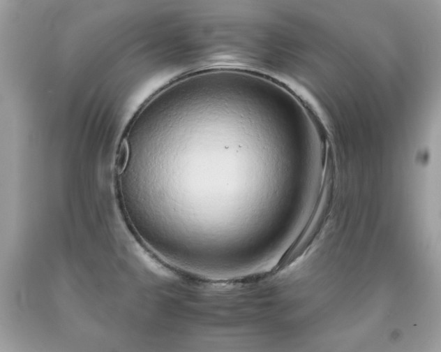 X0000091921333200709121531