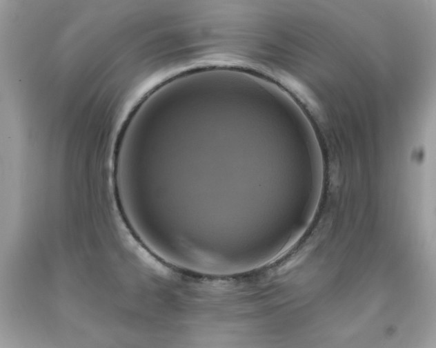 X0000091921334200709121531