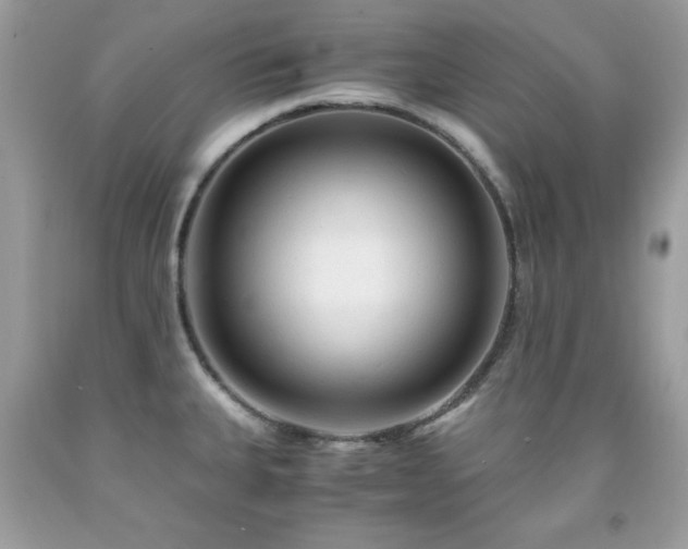 X0000091921335200709121531