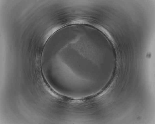 X0000091921337200709121531