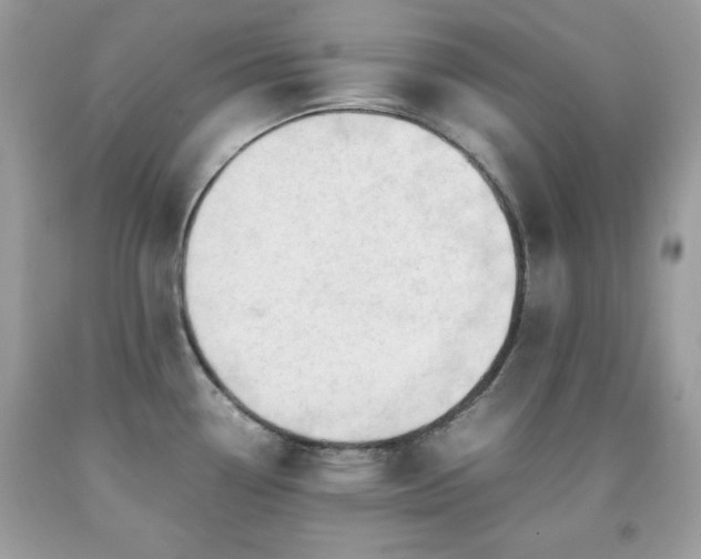 X0000091921338200709121531