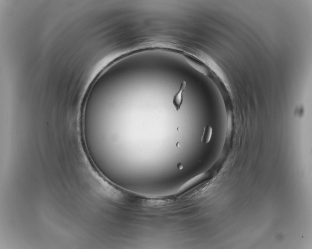 X0000091921339200709121531