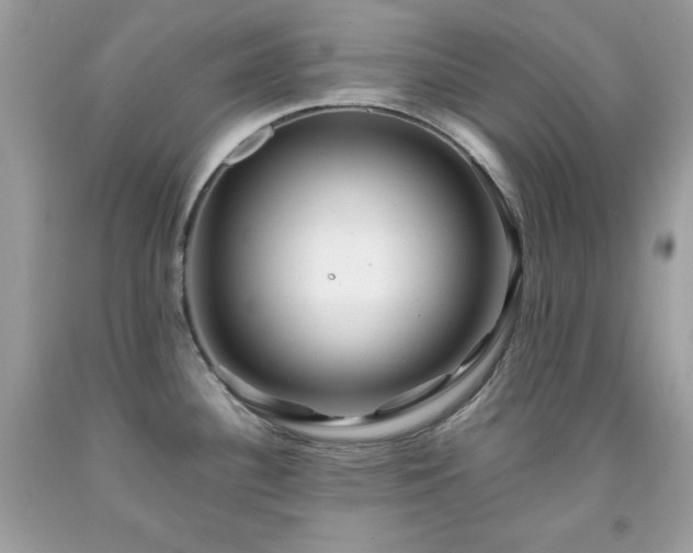 X0000091921340200709121531