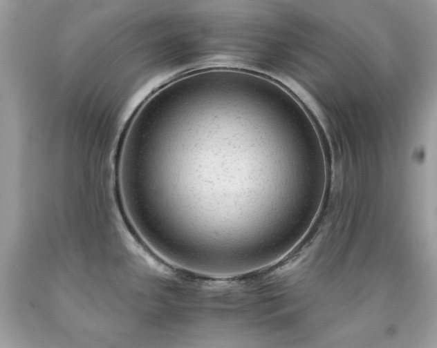 X0000091921341200709121531