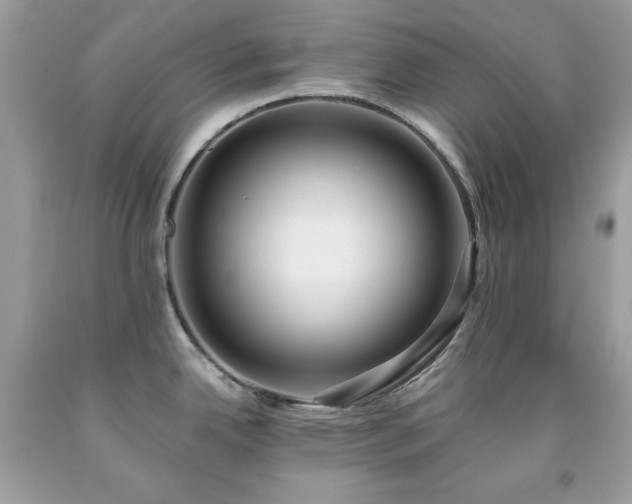 X0000091921342200709121531