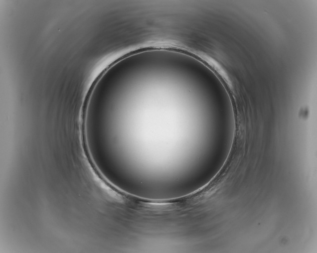 X0000091921343200709121531