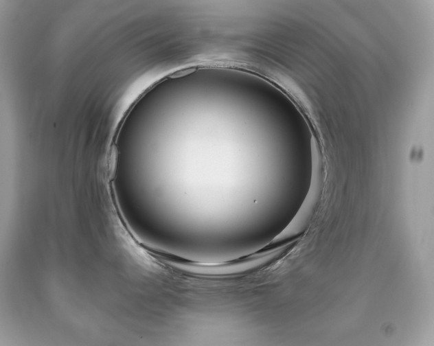 X0000091921344200709121531