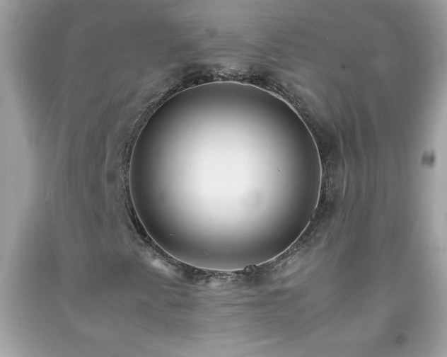 X0000091921345200709121530