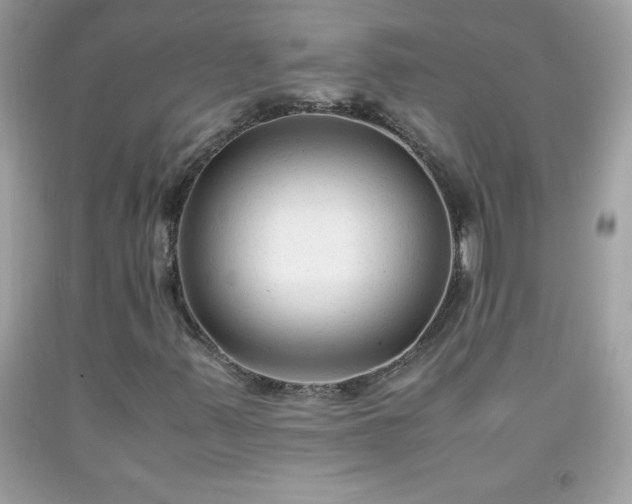 X0000091921347200709121530