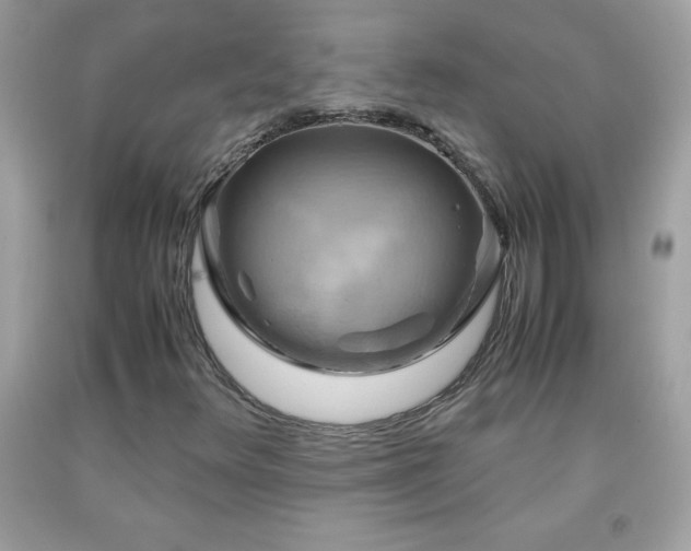 X0000091921348200709121530