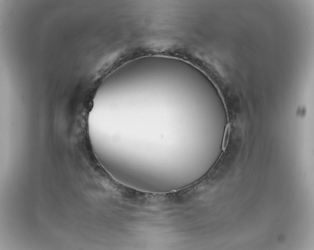 X0000091921349200709121530