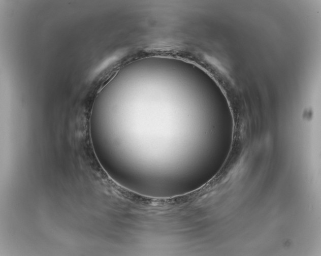 X0000091921350200709121530