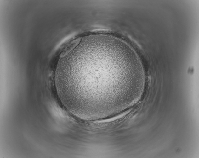 X0000091921351200709121530