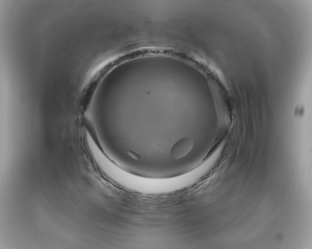 X0000091921352200709121530