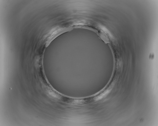 X0000091921353200709121530