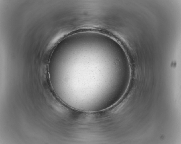X0000091921355200709121530
