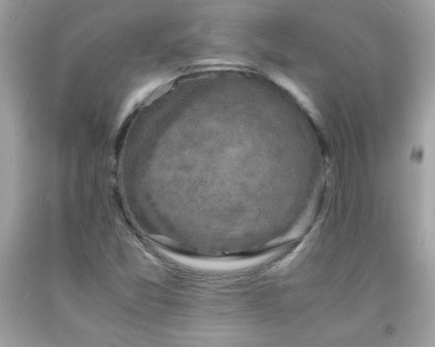 X0000091921357200709121530