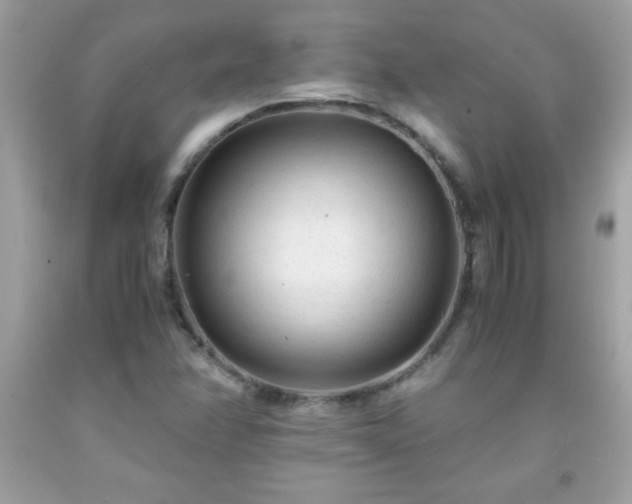 X0000091921358200709121530