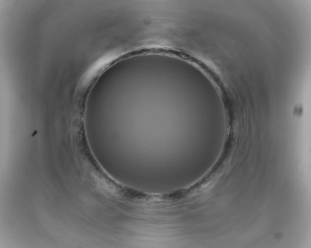 X0000091921359200709121530