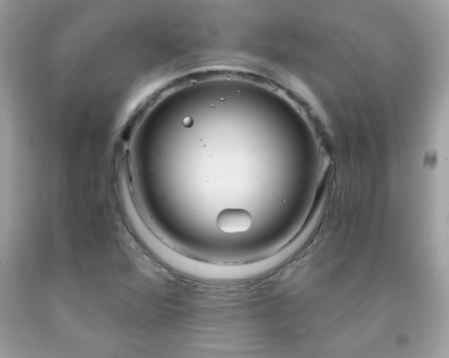 X0000091921360200709121530