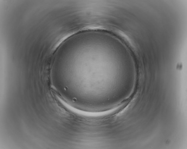 X0000091921361200709121530