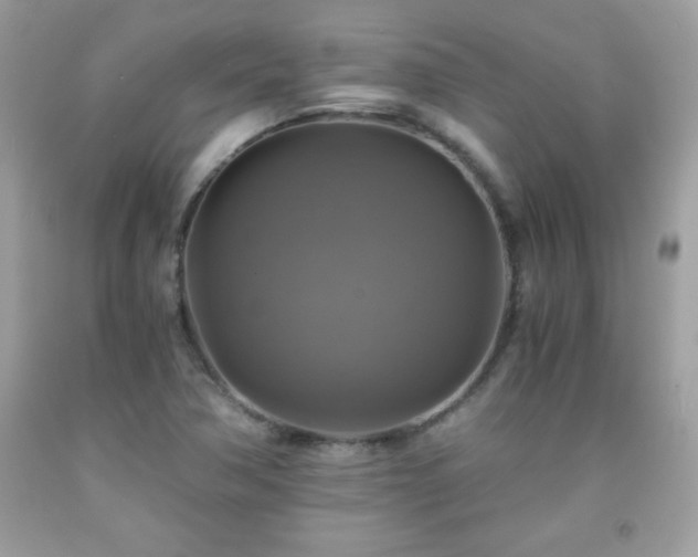 X0000091921362200709121530