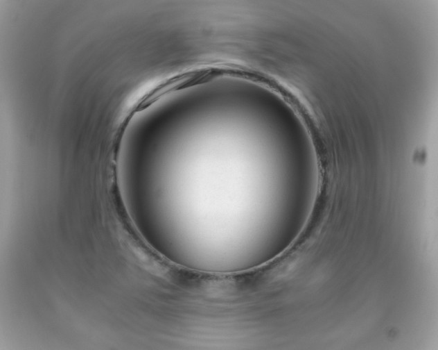 X0000091921363200709121530