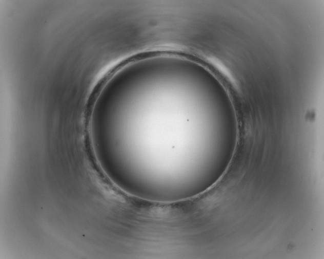 X0000091921364200709121530