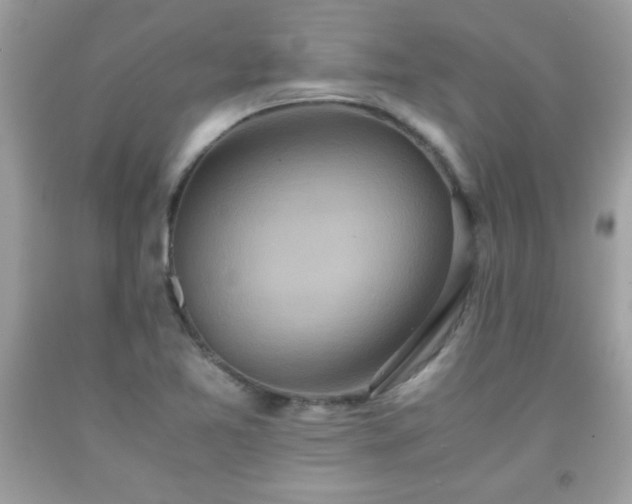 X0000091921365200709121530
