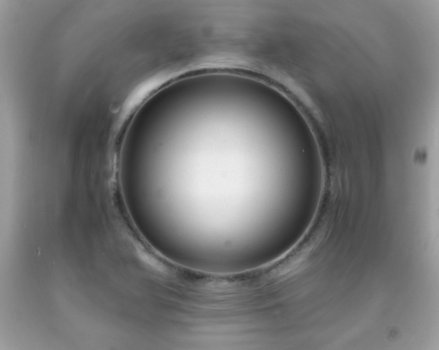X0000091921366200709121530