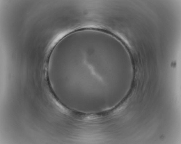 X0000091921367200709121530